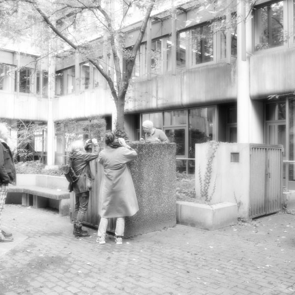 Foto vom vermoosten Hof des Rathaus Bielefeld